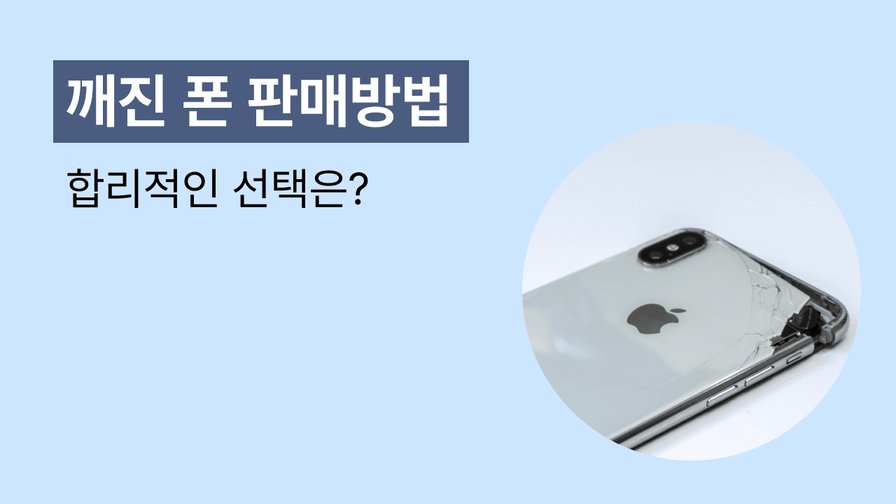 블로그 239 썸네일