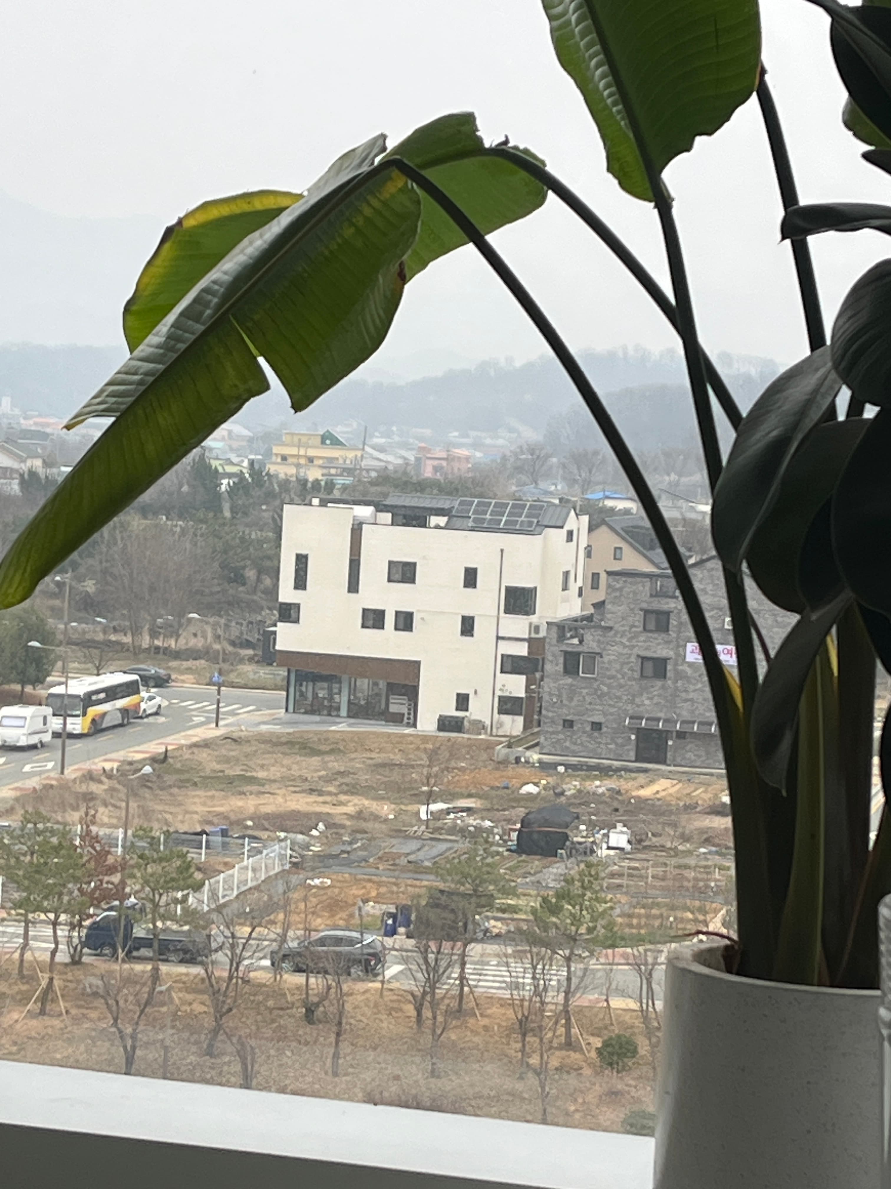 리뷰 이미지 2